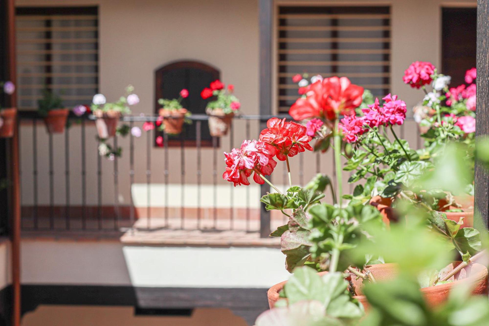 Charming Apt In The Center - 10M Walk Isla Magica Seville Exterior photo